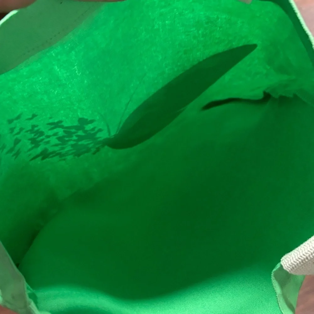 Colorful Butterfly Green Tote Bag